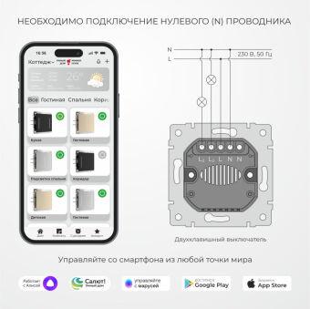 Выключатель Werkel W4523641 дымчатый