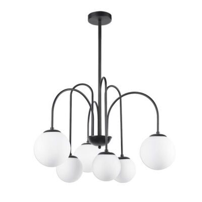    ARTE Lamp A1675LM-6BK