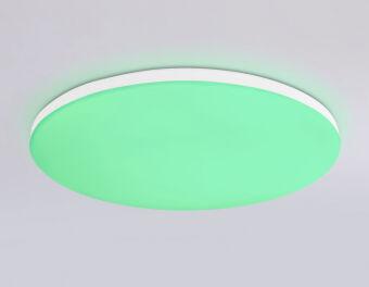 Накладной светильник Ambrella Light FZ2002