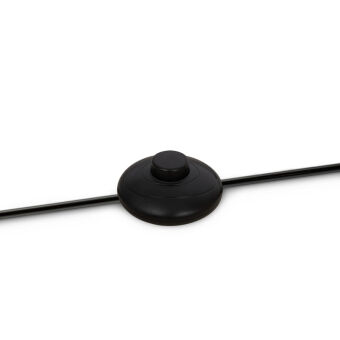 Торшер Maytoni MOD177FL-01B