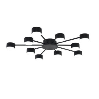 Накладная люстра LUMION 8344/10C