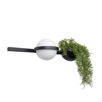 Бра LOFT IT 10121W/A