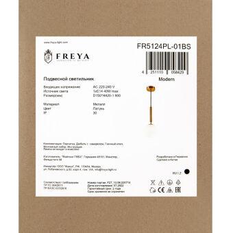 Подвесной светильник Freya FR5124PL-01BS