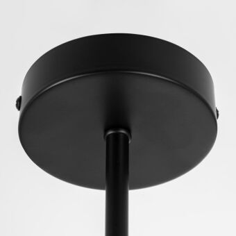 Люстра на штанге Citilux CL218163