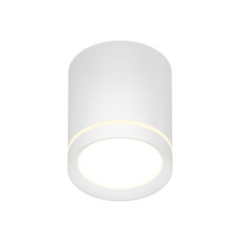 Накладной светильник Denkirs DK4016-WH