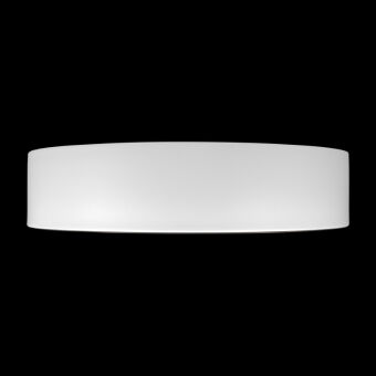 Накладной светильник LOFT IT 10202 WB