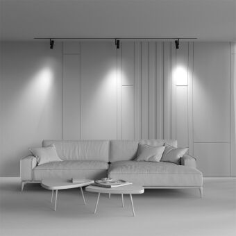 Светильник на шине Maytoni Technical TR005-2-12W4K-B