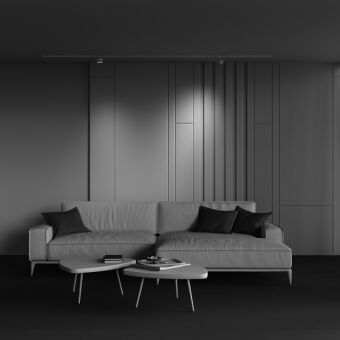 Светильник на шине Maytoni Technical TR225-1-GX53-W