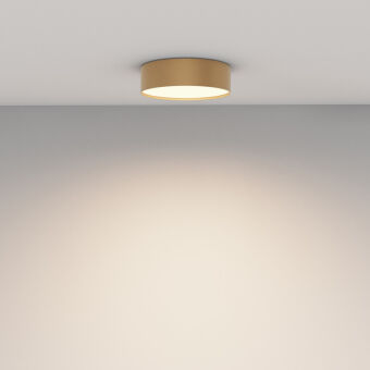 Накладной светильник Maytoni Technical C032CL-24W3K-RD-MG