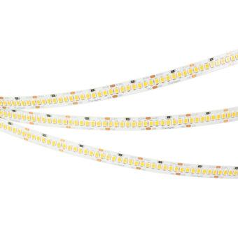 Лента Arlight 042320