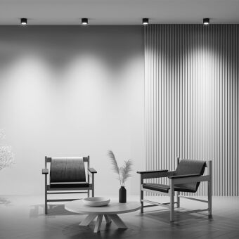 Накладной светильник Maytoni Technical C095CL-GX53-B