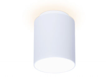 Накладной светильник Ambrella Light TN261