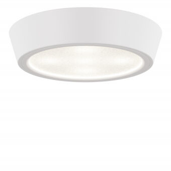 Влагозащищенный светильник Lightstar 214902