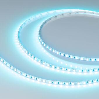 Лента Arlight 036216