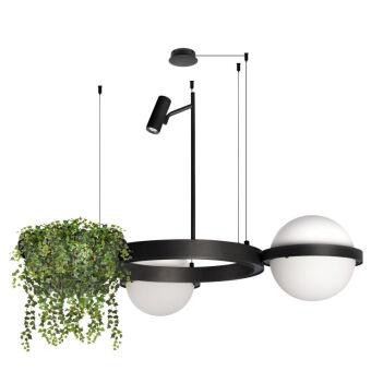 Подвесной светильник LOFT IT 10121/2