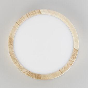 Накладной светильник Citilux CL738122N