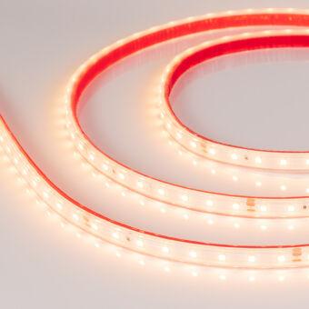 Лента Arlight 024519(2)