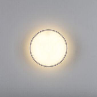 Накладной светильник Lightstar 215936