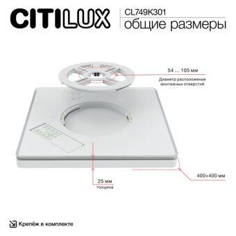 Накладной светильник Citilux CL749K301