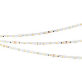 Лента Arlight 037794