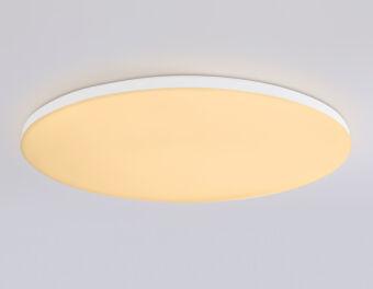 Накладной светильник Ambrella Light FZ2003