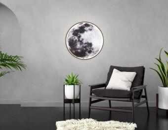 Детское бра Ambrella Light FW11114