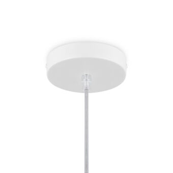 Подвесной светильник Freya FR5405PL-01W