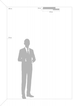 Накладной светильник Freya FR10028CL-L80W