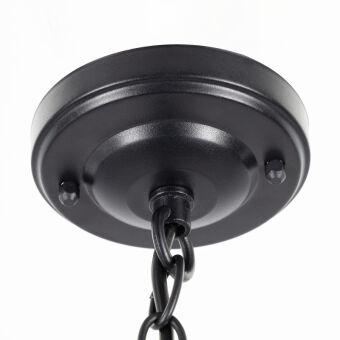 Подвесной уличный светильник Citilux CLU09S