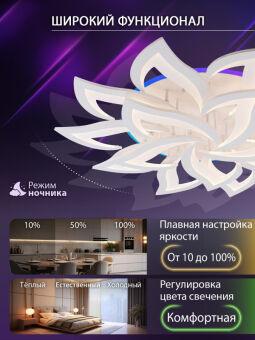 Накладная люстра Natali Kovaltseva LED LAMPS 81437