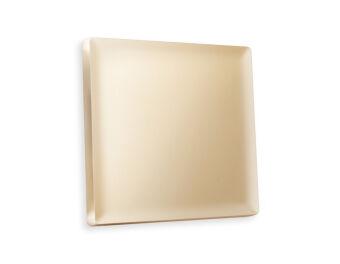 Клавиша/Накладка Ambrella Volt AP6010