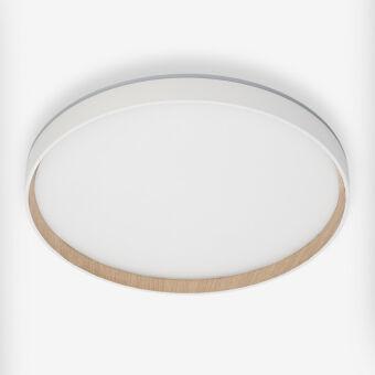 Накладной светильник Citilux CL750400R