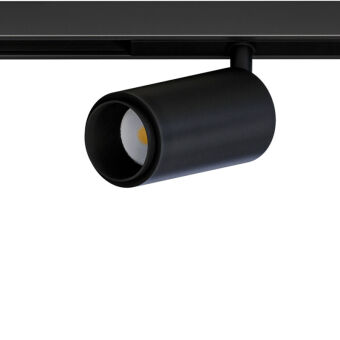 ���������� �� ���� ARTE Lamp A7296PL-1BK