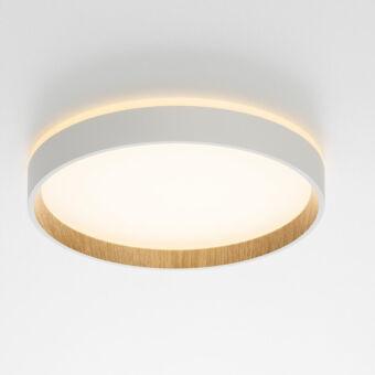 Накладной светильник Citilux CL750240