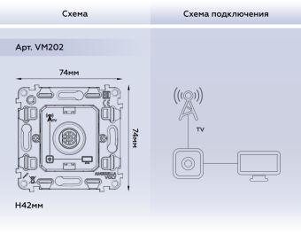Розетка Ambrella Volt VM202