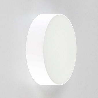 Накладной светильник Citilux CL712120N