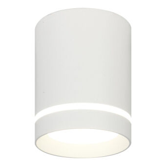 ��������� ���������� Escada 20009SMU/01LED SWH