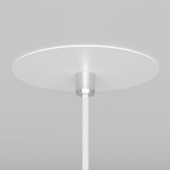 Подвесной светильник Maytoni Technical P318-PL-01-W