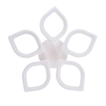 Накладная люстра ARTE Lamp A2531PL-5WH