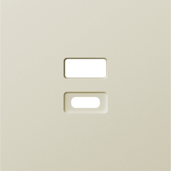 Накладка для розеток USB, шампань, серия A07