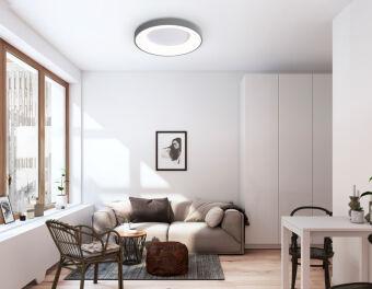 Накладной светильник Ambrella Light FZ1402