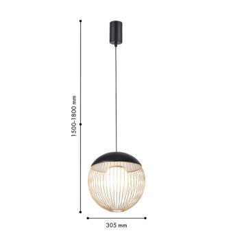 Подвесной светильник Favourite 4240-1P