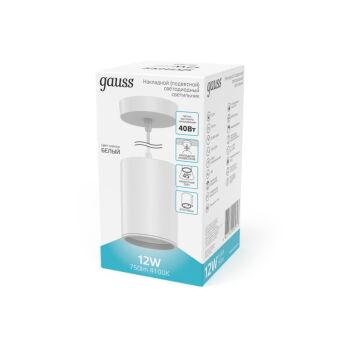 Подвесной светильник Gauss HD044