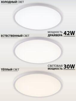 Накладной светильник Natali Kovaltseva LED LAMPS 81113/4C