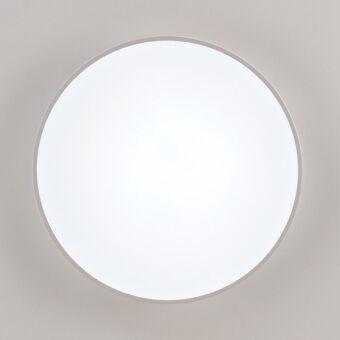 Накладной светильник Citilux CL72495G0