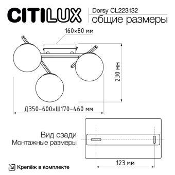 Накладная люстра Citilux CL223132
