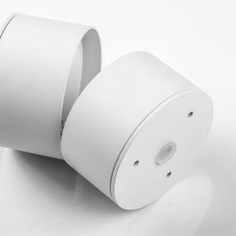 Спот Lightstar 215836