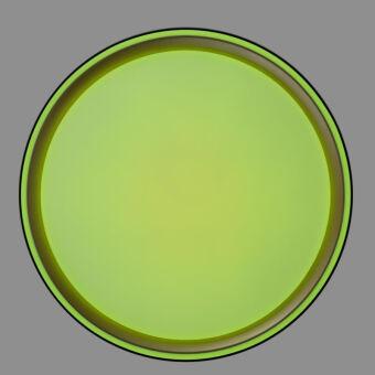 Накладной светильник Citilux CL751251G