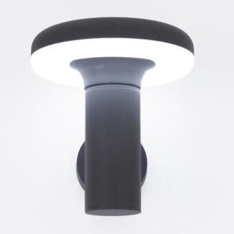 Светильник настенный Citilux CLU01W