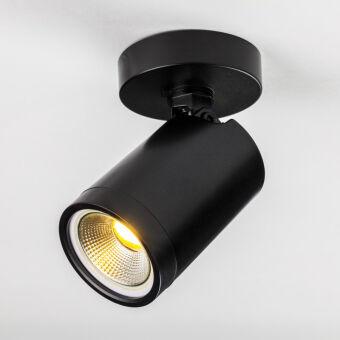 Спот Lightstar 213407